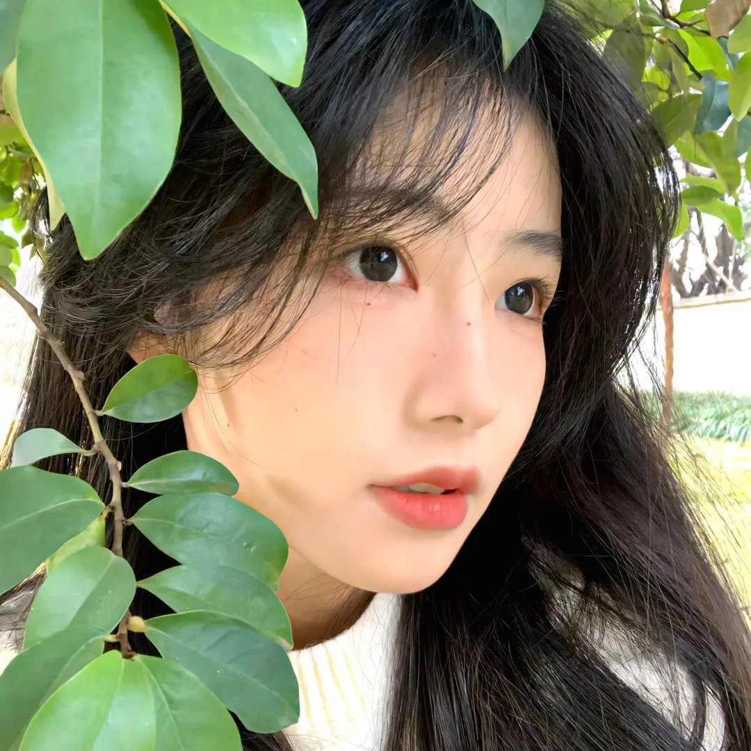 真命天女 封面